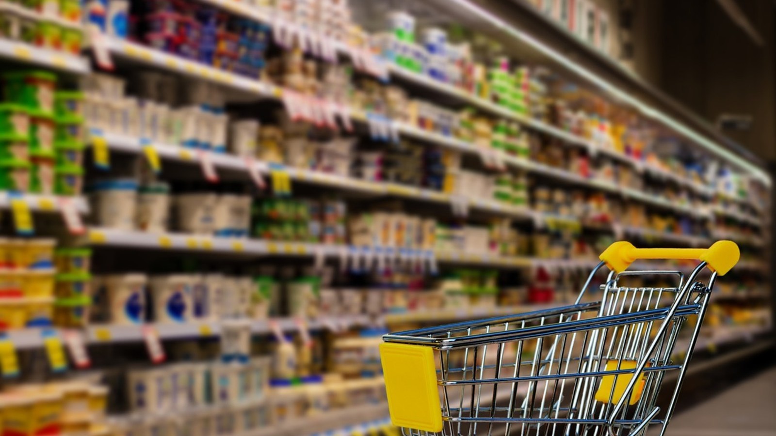 Avusturya’da market alışverişi AB ortalamasından ne kadar pahalı? Avrupa fiyat karşılaştırması
