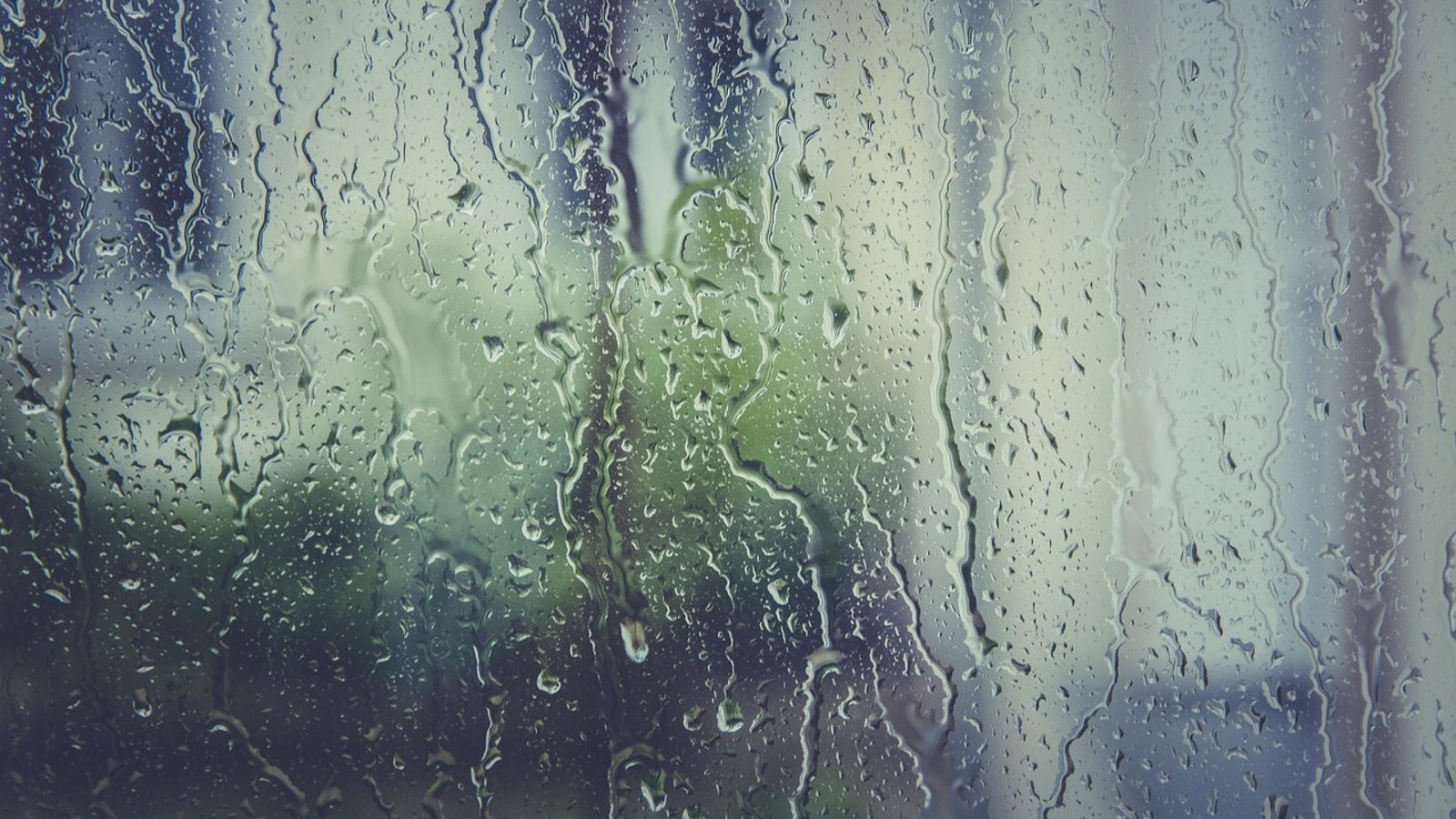 Evde küf istemiyorsan ısıtmak yetmiyor, böyle havalandır (Temsilî görsel: Pixabay)