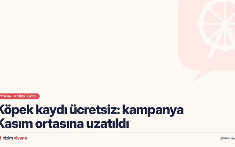 Viyana’da köpek kaydı ücretsiz: Stadtservice otobüsü kampanyası Kasım ortasına uzatıldı