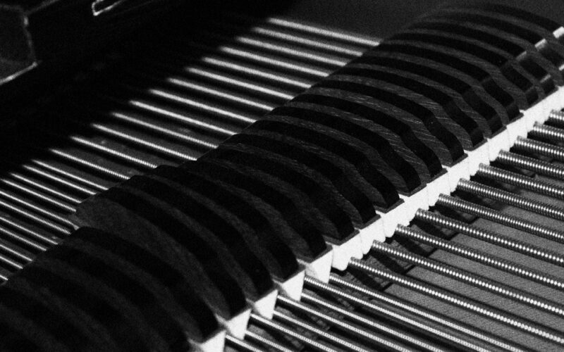 Viyana’da The Piano Tuner filmi 31 Ekim 2026’da hangi sinemalarda? Yaş sınırı 16