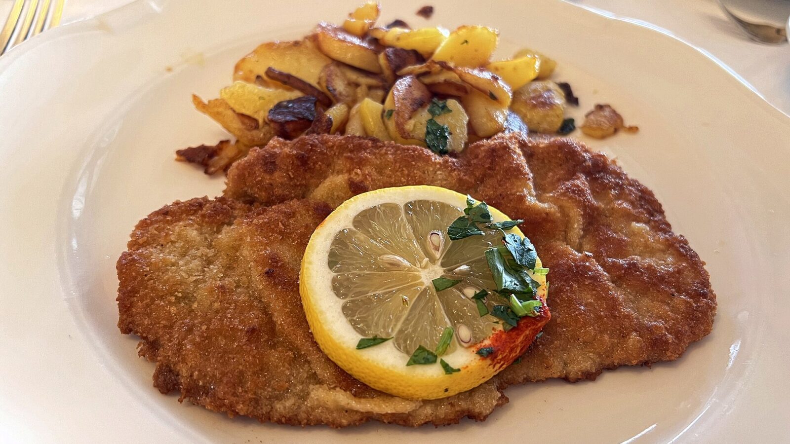 Viyana Mutfağı Rehberi: Schnitzel'den Sachertorte'ye, Domuz Eti Uyarıları ve Helal İpuçları